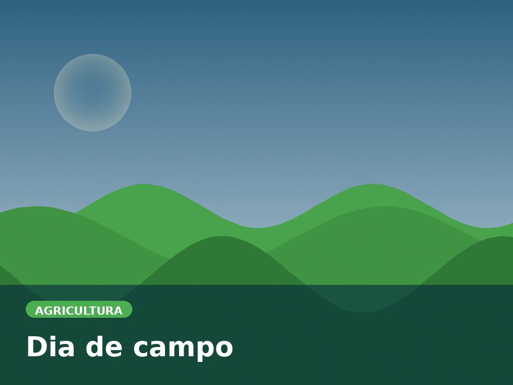 Dia de campo