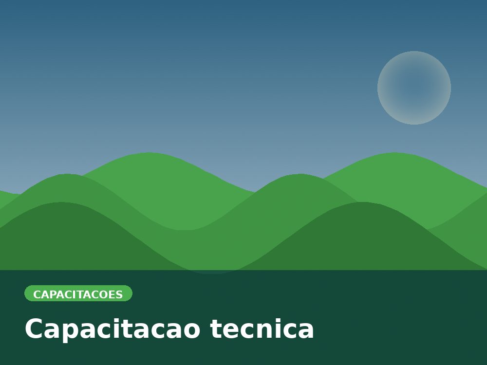Capacitacao tecnica
